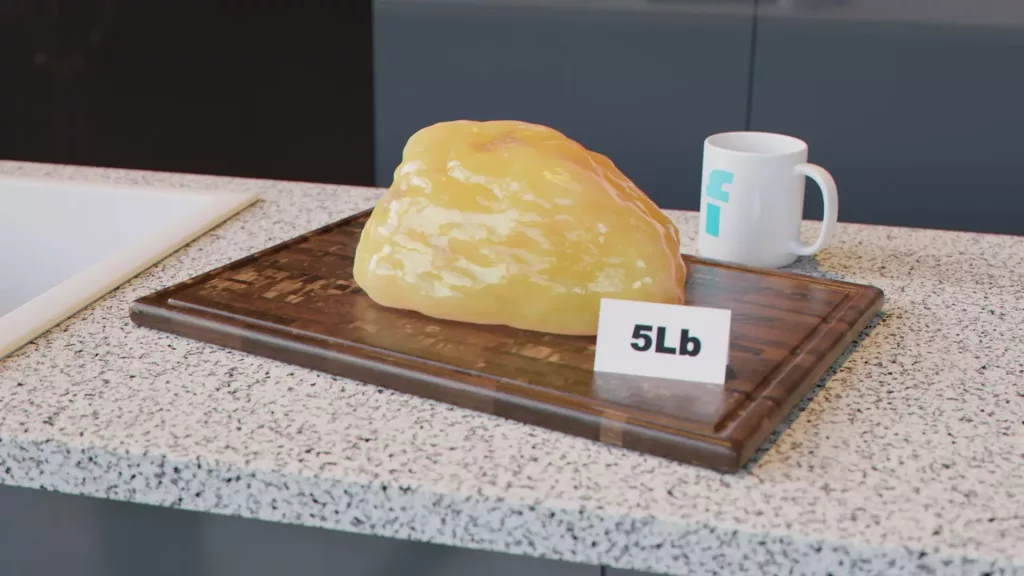 What Does 5 Pounds Of Human Fat Look Like 