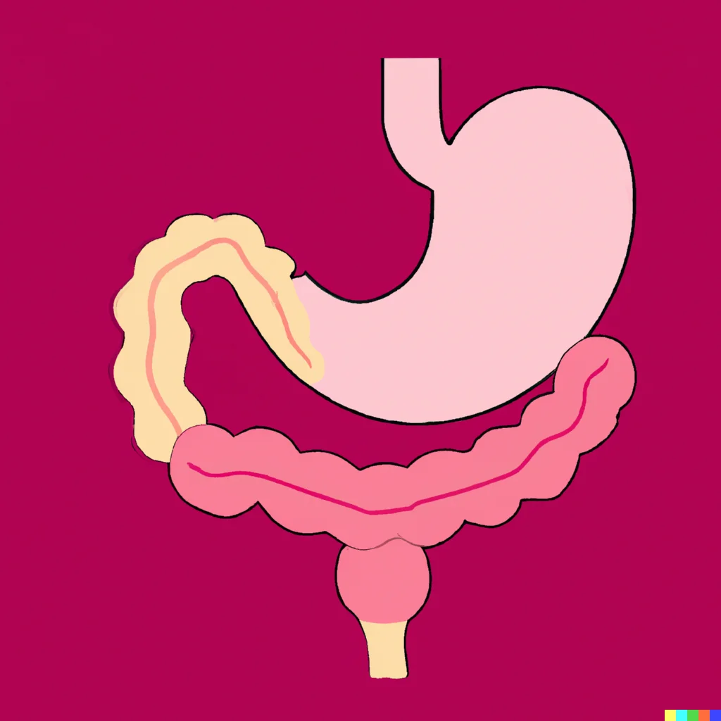 Digestive System